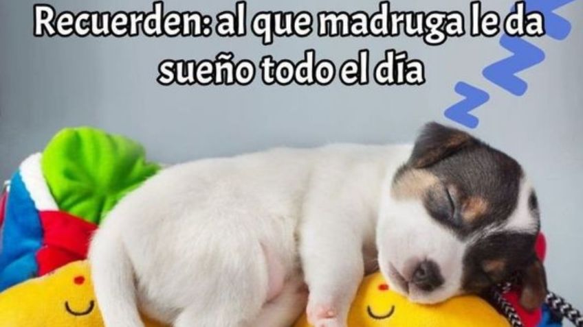 Imágenes de buenos días: pics para mandarle a tu familia por WhatsApp