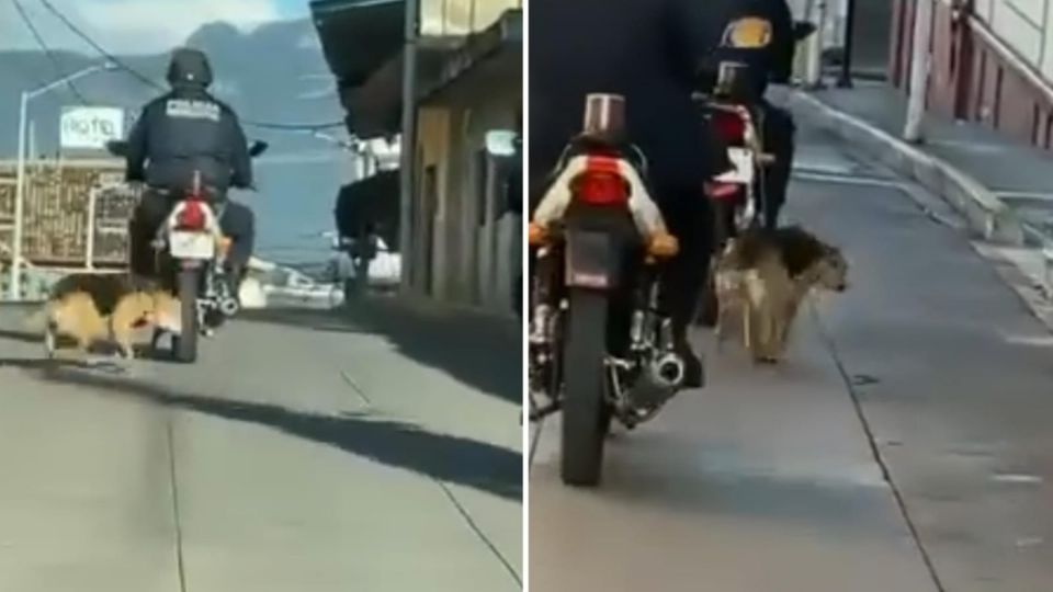 El perrito fue arrastrado por calles de  Jalacingo, Veracruz.