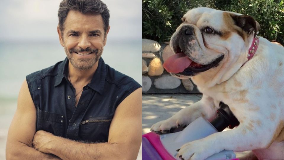 ¿Eugenio Derbez tiene pensado en tener  nuevamente una mascota?