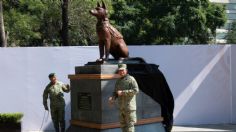 Sedena devela estatua de Proteo en Campo Marte, el perro rescatista que murió en Turquía