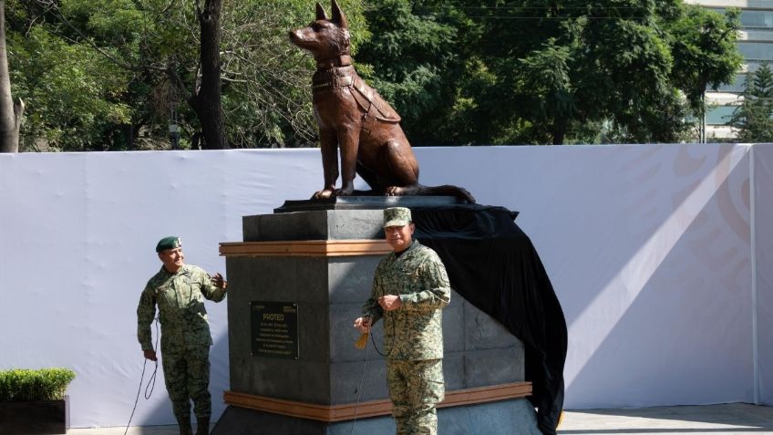 Sedena devela estatua de Proteo en Campo Marte, el perro rescatista que murió en Turquía