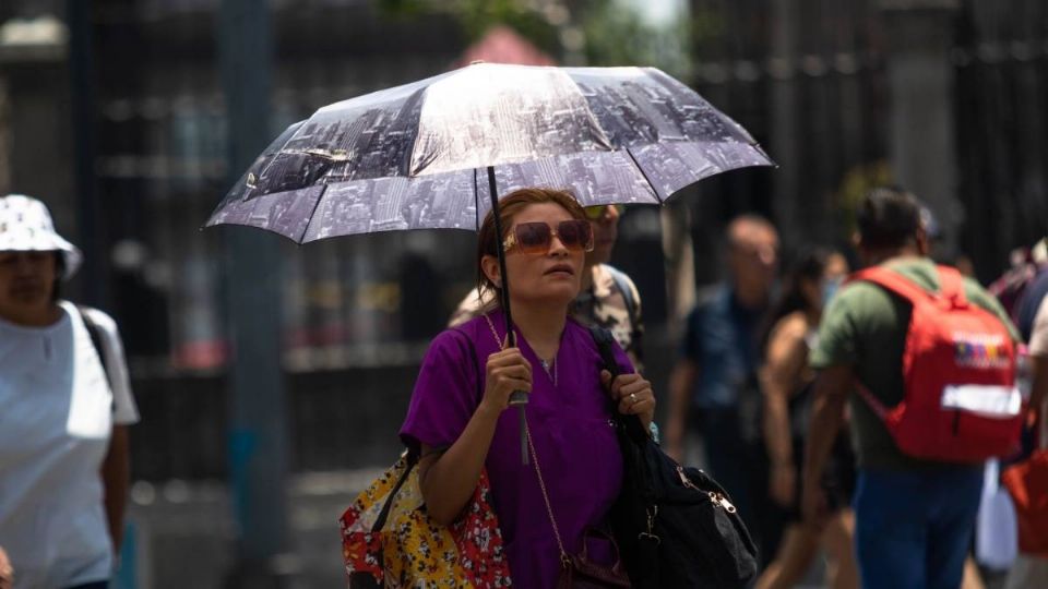 Conoce los efectos negativos en la salud por la canícula 2024