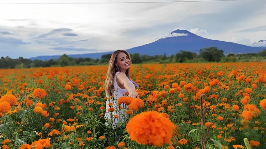 Día de muertos: ¿dónde visitar campos de cempasúchil en México para paseo de ensueño?