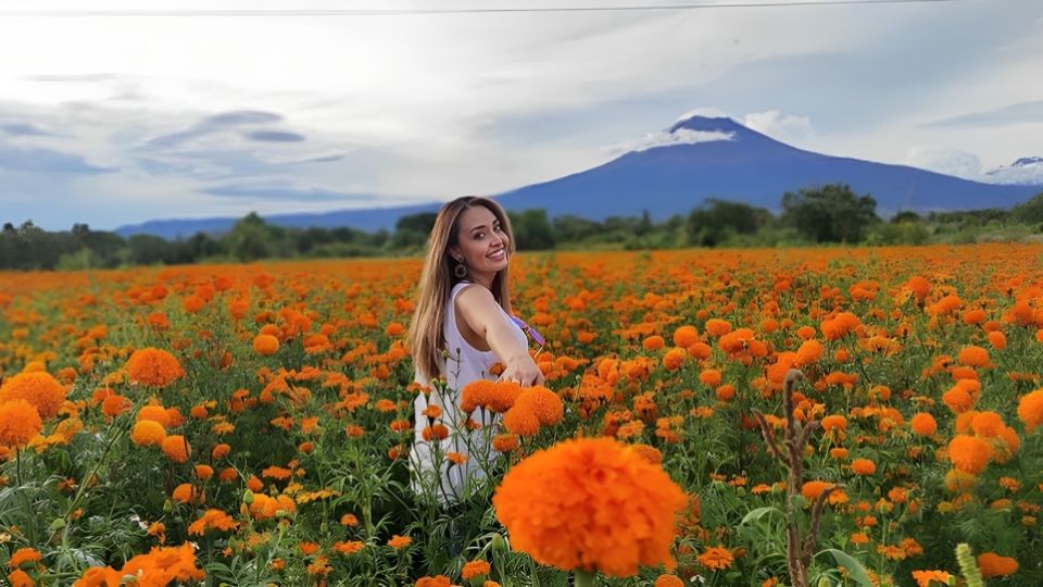 Día de muertos: visita estos campos de cempasúchil en México en un pase de ensueño.