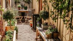 Feng Shui: estas son las plantas que debes tener en tu jardín para armonizar tu hogar