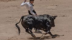 VIDEO: hombre muere tras ser embestido por un toro durante una fiesta tradicional