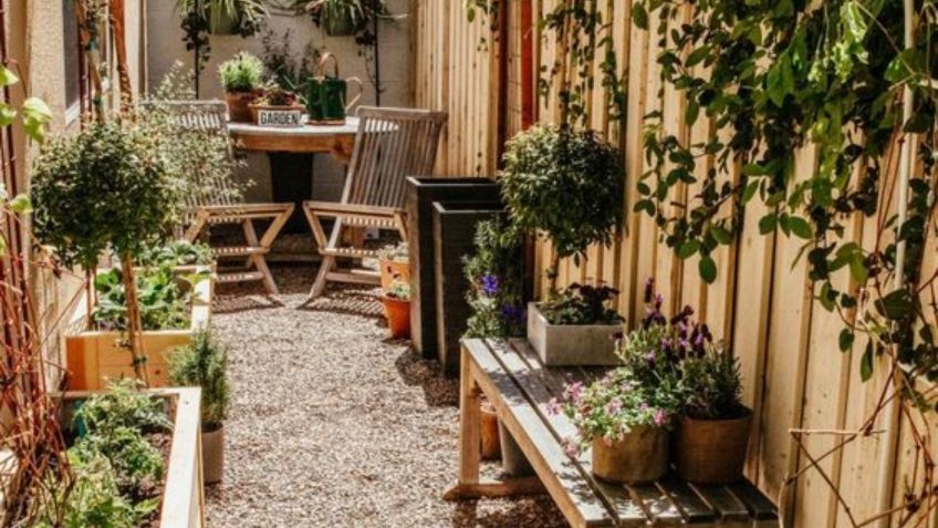 Feng Shui: estas son las plantas que debes tener en tu jardín para armonizar tu hogar