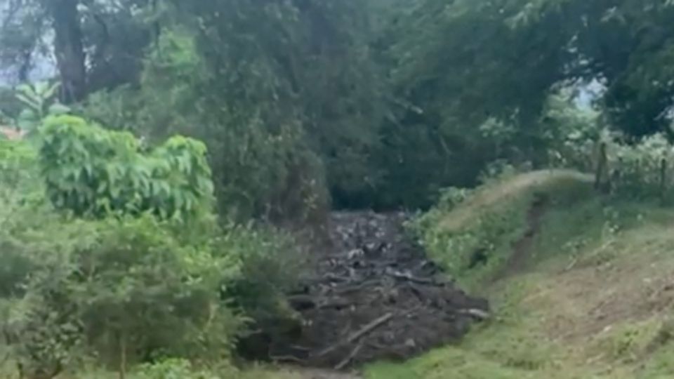 Hace 11 años, el Huracán Jova dejó en la localidad una devastación similar.