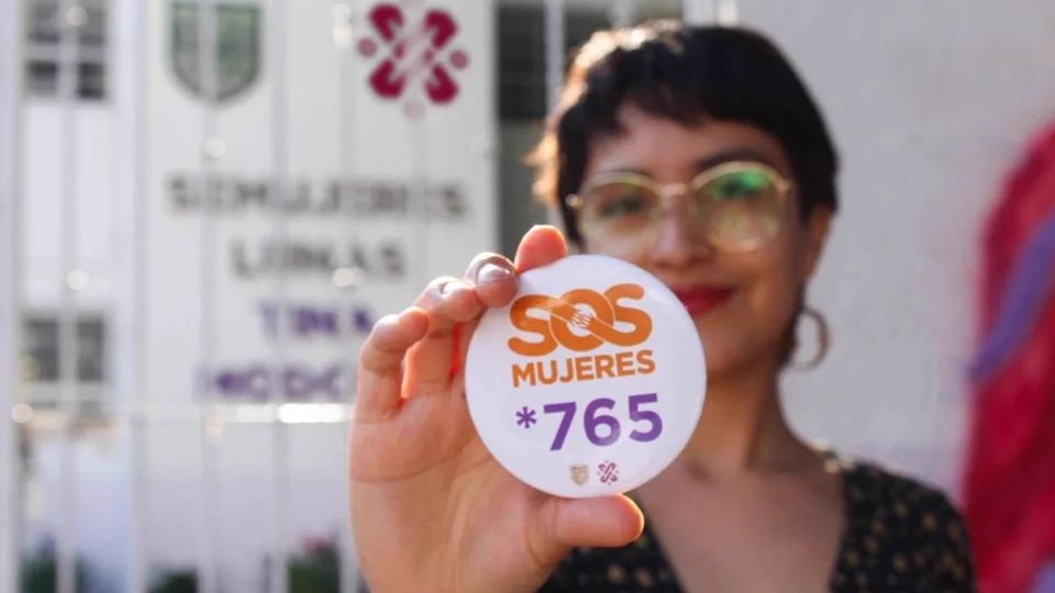 Estos programas ayudan a la erradicación de la violencia contra la mujer.