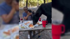 Un oso negro se come los tacos y enchiladas de una familia que tenía un día de campo en el parque Chipinque en San Pedro Garza García | VIDEO