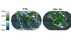 Científicos revelan que 92% del planeta se volvería inhabitable para mamíferos en 250 millones de años