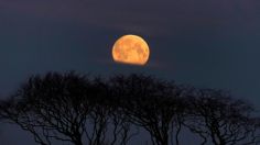 Luna de Cosecha: las mejores fotos que impactaron a todo el mundo