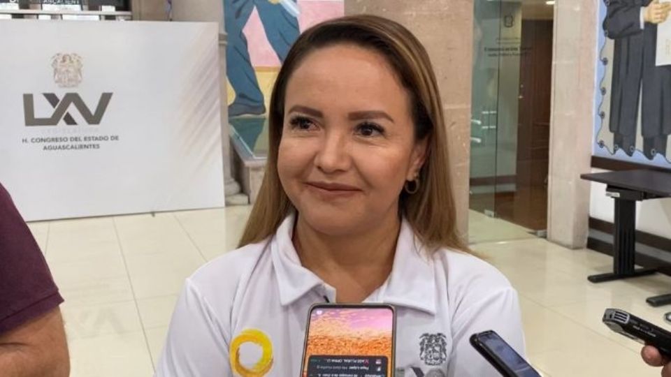 Diputada del Congreso de Aguascalientes