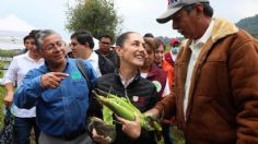 Día Nacional del Maíz: Claudia Sheinbaum recuerda sus orígenes ancestrales