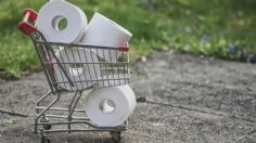 Por resistencia y calidad: esta es la mejor marca de papel higiénico según Profeco