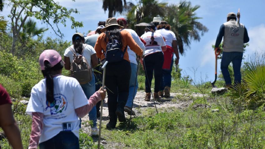 Madres buscadoras encuentran fosa clandestina con 45 cuerpos en una barranca de Tacámbaro, Michoacán