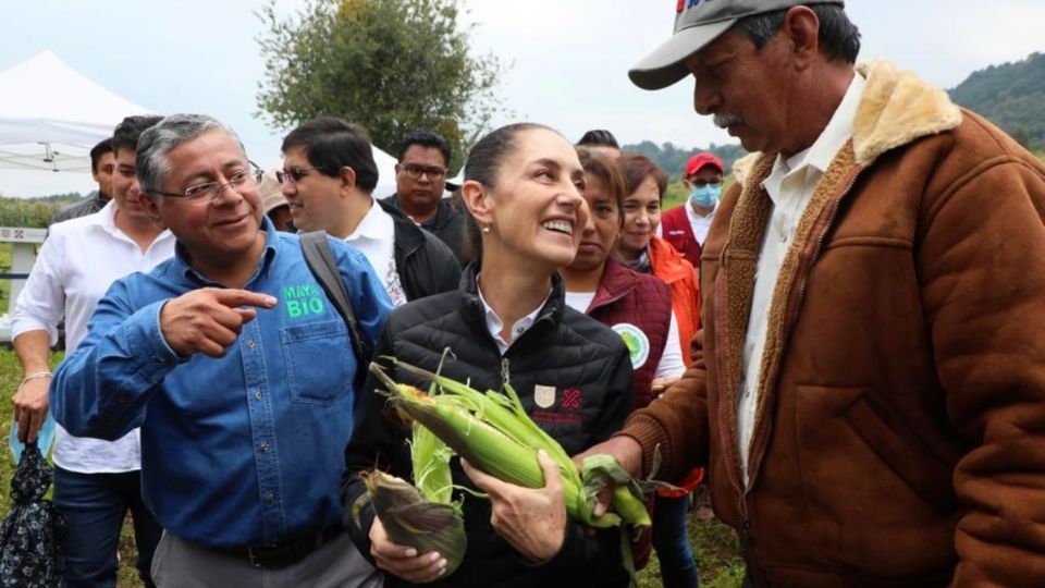 Claudia Sheinbaum promovió el apoyo al campo en la ciudad. Imagen de archivo