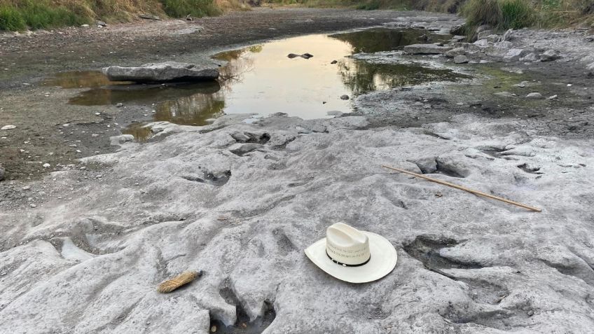 Hallan huellas de dinosaurios por fuertes olas de calor y sequías en Texas