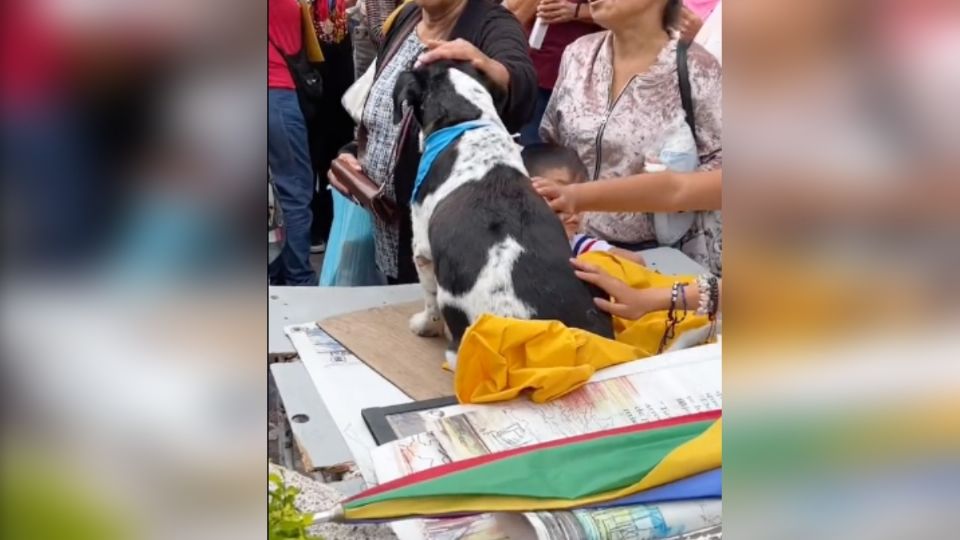 Don Carolino, dueño del perrito, falleció de un infarto cuando recorría por las calles de Aguascalientes