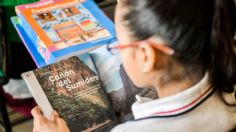 Libros de texto gratuitos: una asociación civil obsequia a docentes 13 manuales para complementar la enseñanza en primaria