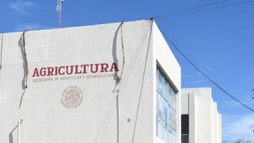 Pide la Secretaría de Agricultura 16 mil millones de pesos