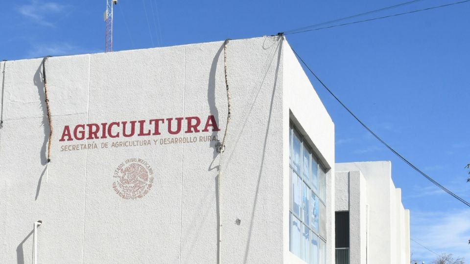 La Secretaría de Agricultura pidió más recursos para el programa Producción para el Bienestar.