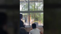 VIDEO: Sicarios entran a una secundaria de Zacatecas durante un enfrentamiento entre bandas rivales