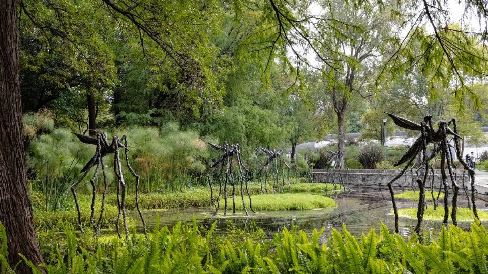 Los árboles se han plantado entre paseos, avenidas y bosques.