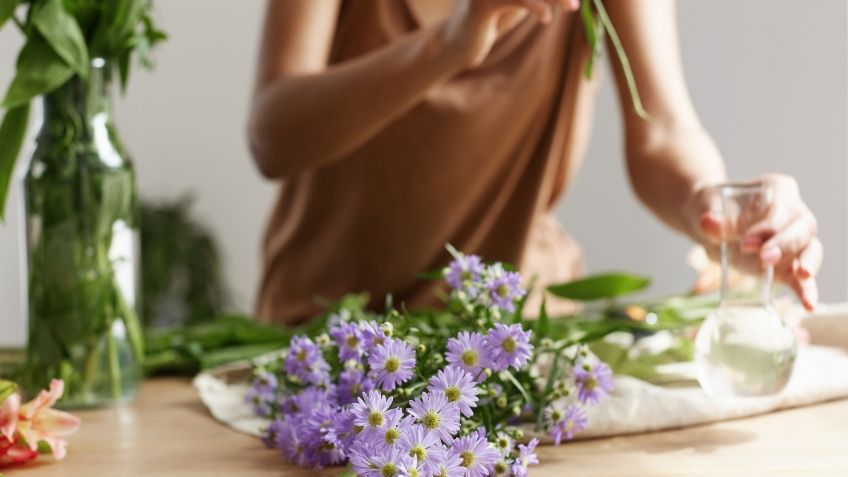 3 Plantas que debes poner siempre para que tu casa huela rico