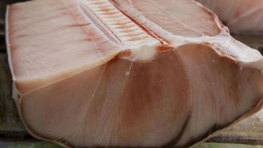 ¿Qué beneficios y peligros tiene el consumo de carne de tiburón?