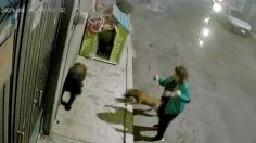 VIDEO: Cámaras de seguridad captan agresión de dos mujeres a perro callejero en Iztapalapa