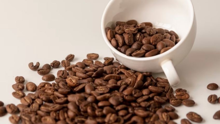 ¿Cuáles son los beneficios de poner café en las plantas?