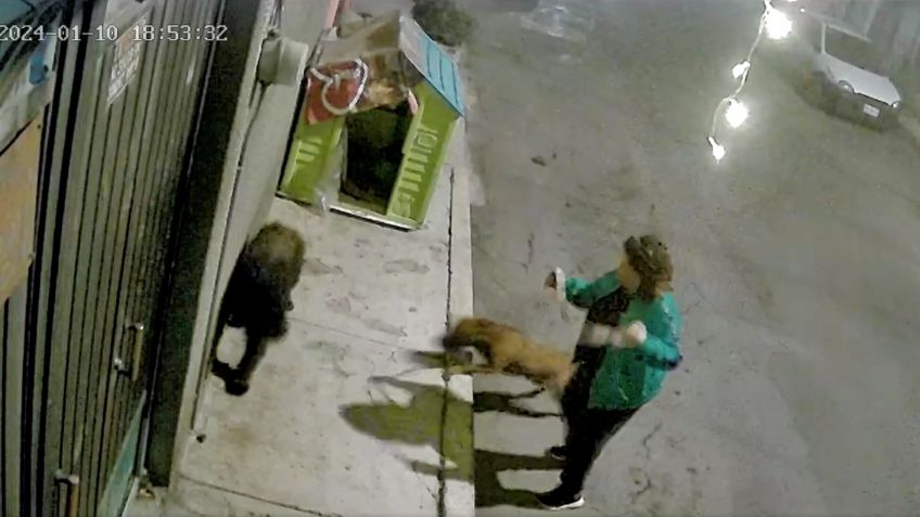 VIDEO: Cámaras de seguridad captan agresión de dos mujeres a perro callejero en Iztapalapa