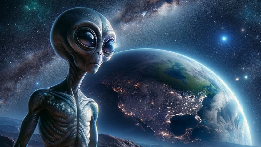 Científicos logran entablar una conversación con una ballena; fue un experimento para después hablar con extraterrestres