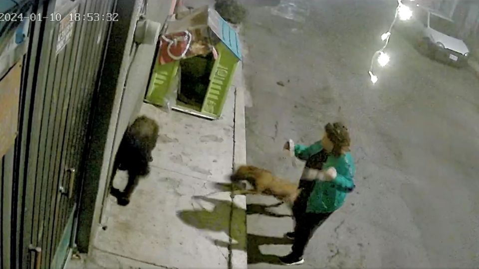 Por medio de una cámara de seguridad se pudo detectar la agresión hacia el perro