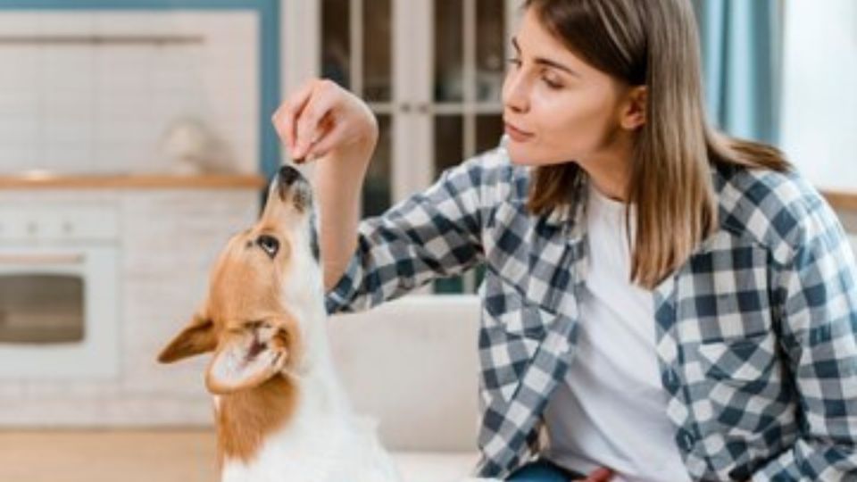 El trucazo para preparar comida saludable a tu perro en casa