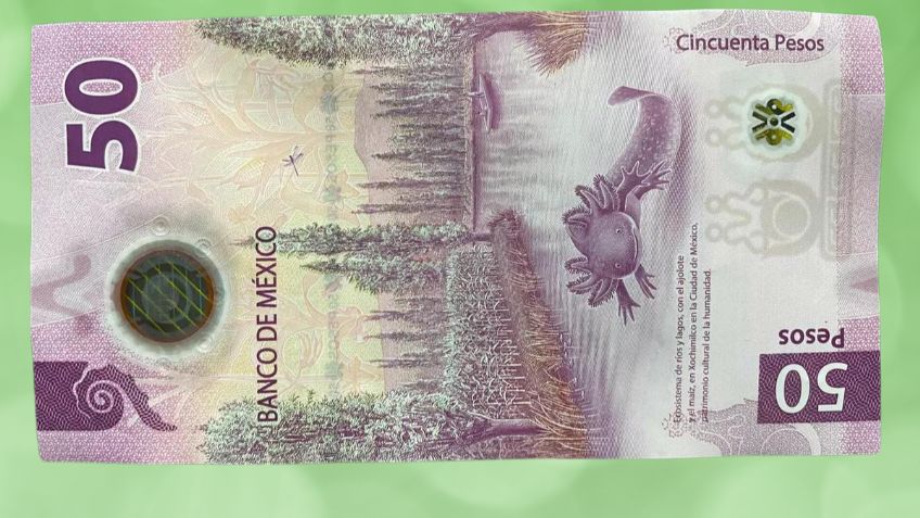 Ofrecen por 6.8 millones de pesos este valioso billete de 50 con ajolote