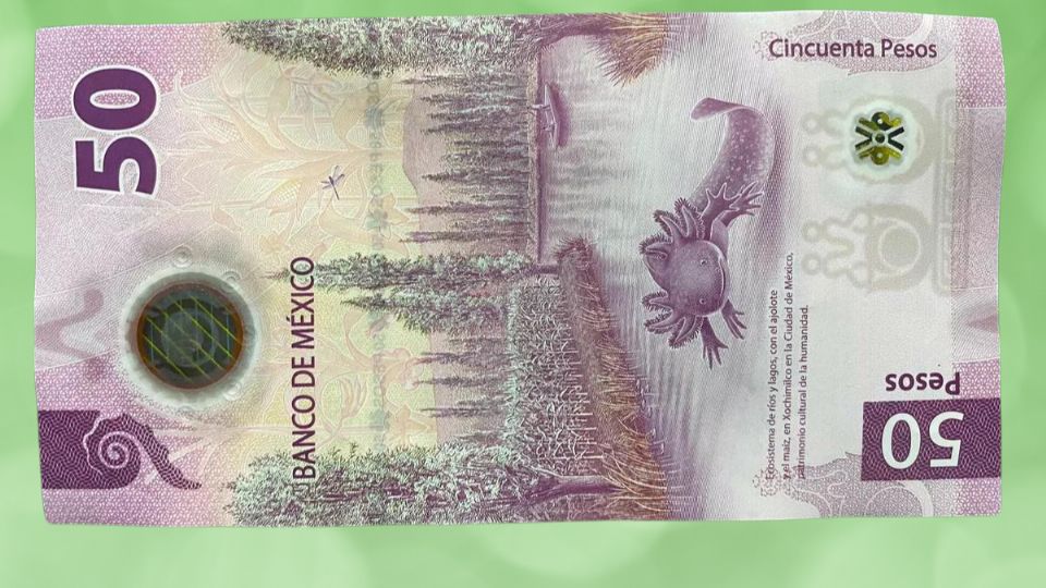 En internet pagan millones por este billete de 50 pesos.