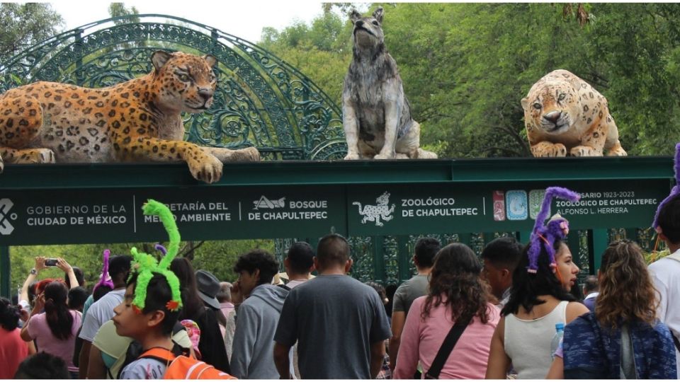 La zona de Chapultepec alberga varios museos para toda la familia