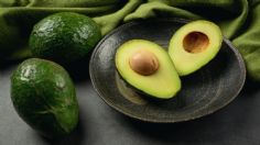 Fertilizante con cáscaras de aguacate, descubre los beneficios para tus plantas