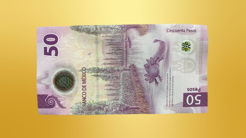 Este es el valioso billete de 50 pesos que puedo valer hasta 10 millones