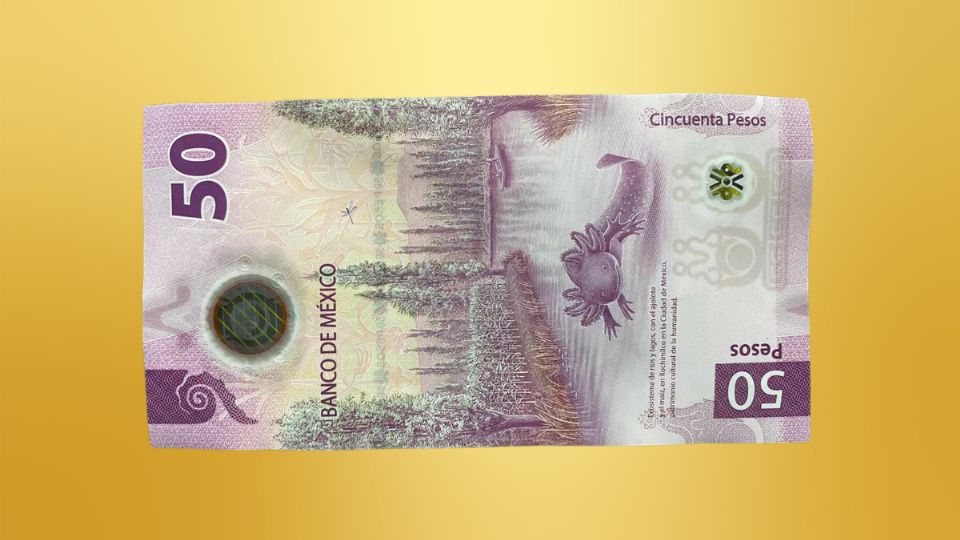 Este billete tiene peculiaridades que lo hacen incrementar considerablemente su valor.