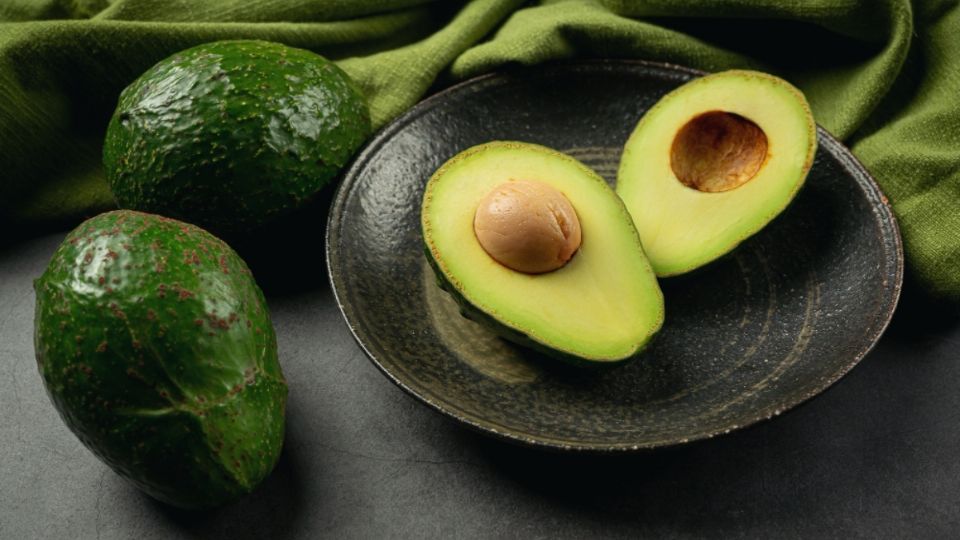 Fertilizante con cáscaras de aguacate, descubre los beneficios para tus plantas