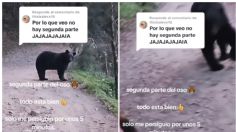 Una joven graba su encuentro con un oso negro en un parque de Nuevo León, así fue el tenso momento: VIDEO