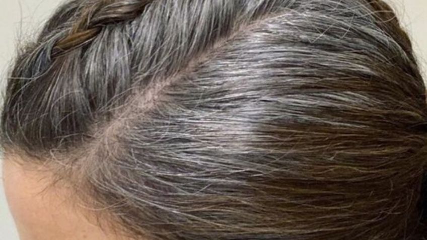 El trucazo para eliminar las canas del cabello con esta hierba