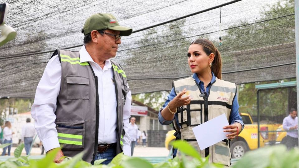 Entrega de varias plantas en municipios de Guerrero