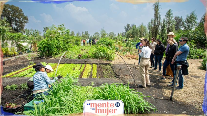 Escuela Campesina: ocupan espacios entre los cultivos