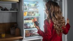 El trucazo para saber si las puertas de tu refrigerador sellan perfecto, solo necesitas una secadora de cabello