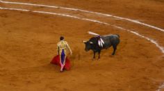 Estos son los orígenes de las corridas de toros