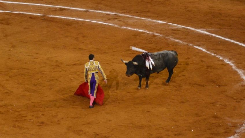 Estos son los orígenes de las corridas de toros